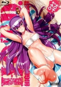 Highschool of the Dead: Drifters of the Dead (2025)